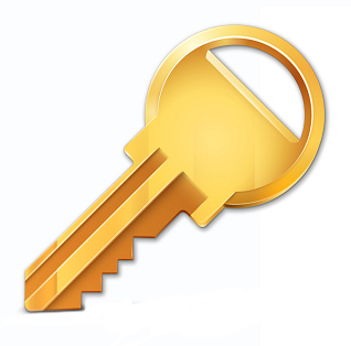 LINEAR - AE100 REPLACEMENT KEY 2PK