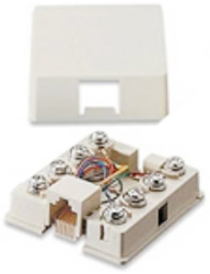 Leviton | Biscuit Jack 6P4C
White