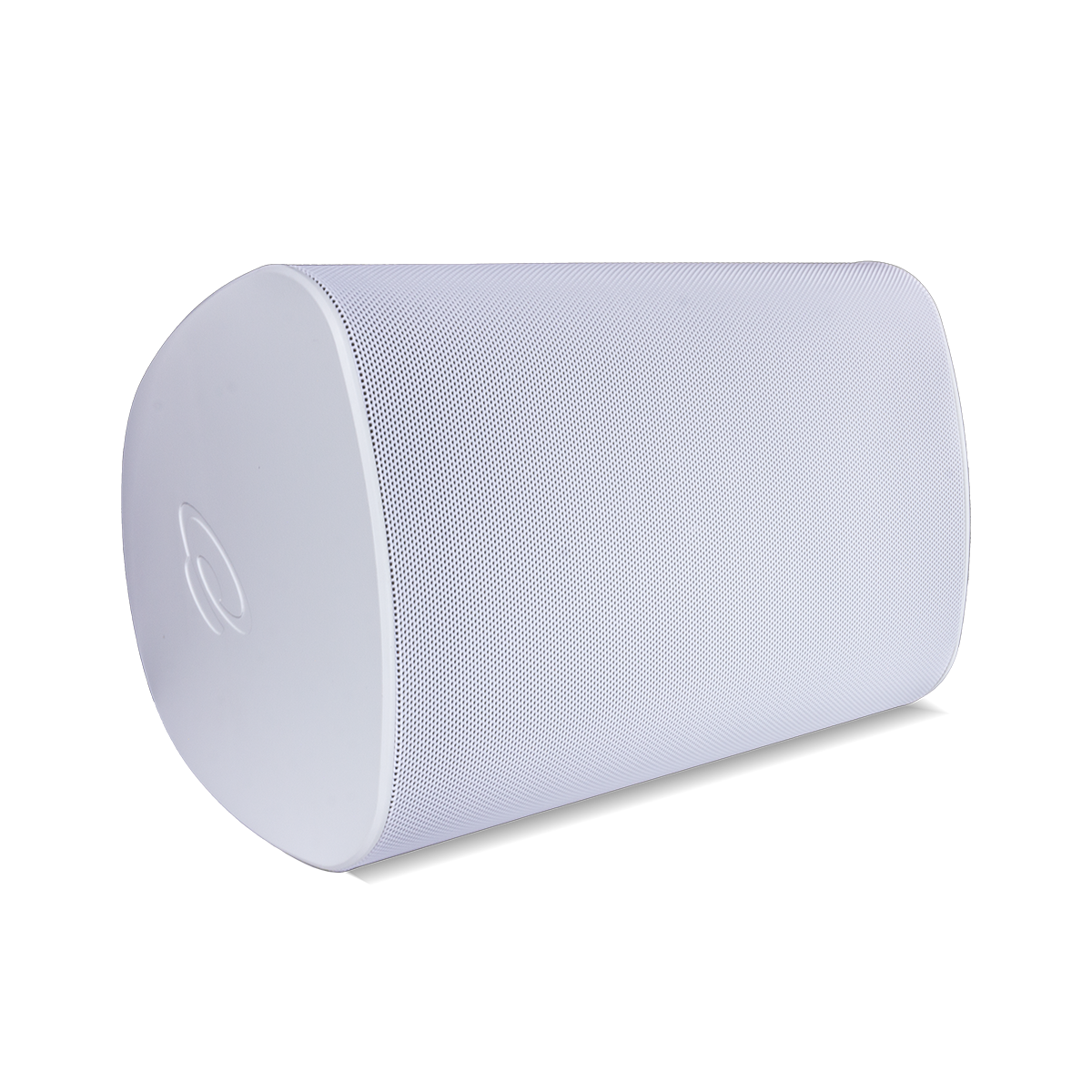 True Audio - 6.5" 2-Way Outdoor Speaker, Swivot
