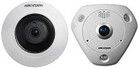 Lion Beam IP Fisheye Cameras