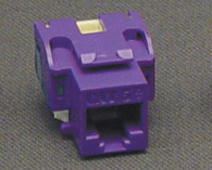 INSERT CAT 5e PURPLE