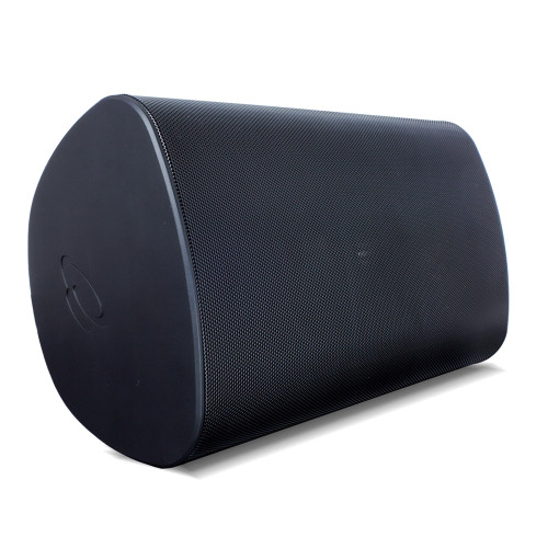 True Audio - 6.5" 2-Way Outdoor Speaker, Swivot